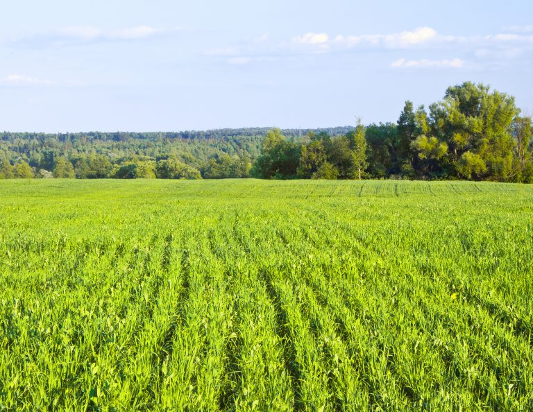 The environmental benefits of conservation agriculture - Glyphosate