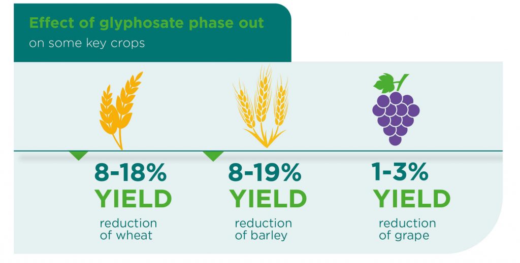 Yield Reduction Glyphosate Renewal Group